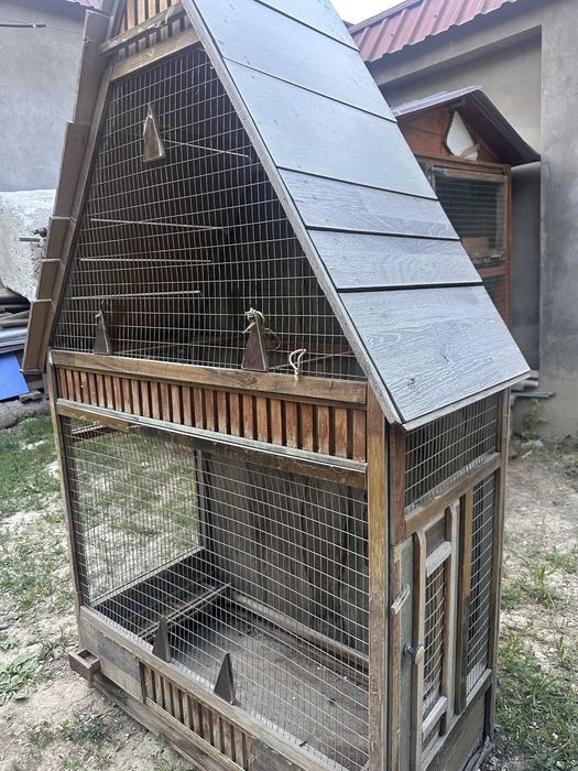 To’ti  va yapon tovuq uchun sifatlik katak