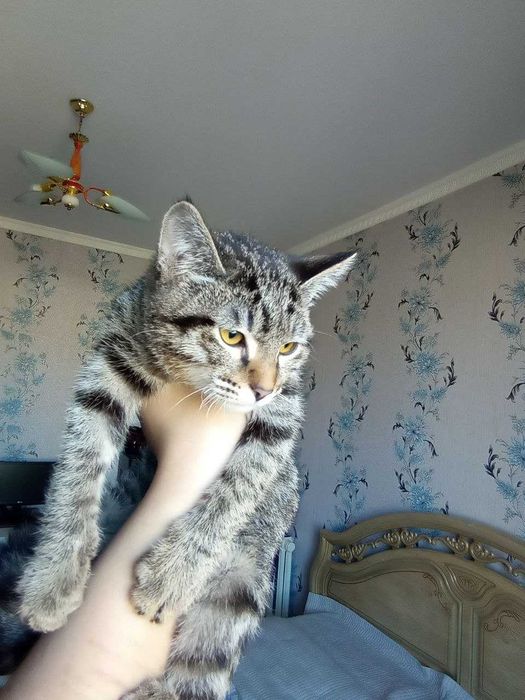 Мушуклар сотилади