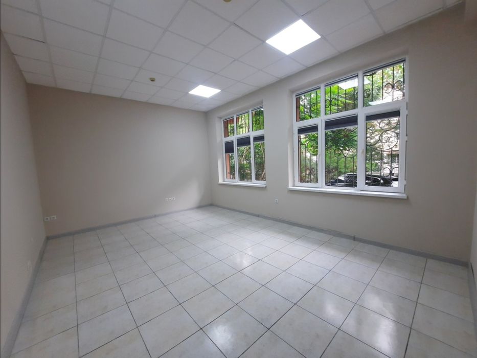 Аренда офиса 116м2 в Центре / Ц-1, Корзинка, кафе Bibigon