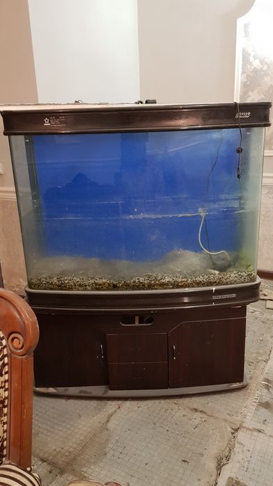 Аквариум. Сатылады срочно