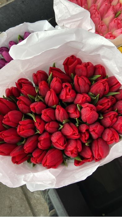 Тюльпаны 8 марта Алматы. Свежие цветы