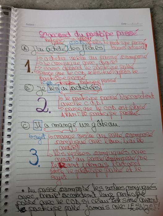 Cursuri online de limbă franceză și engleză  – personalizate.