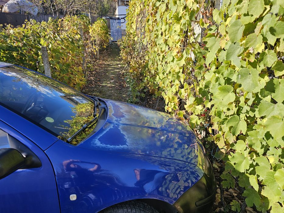 Skoda Fabia 1 unic proprietar