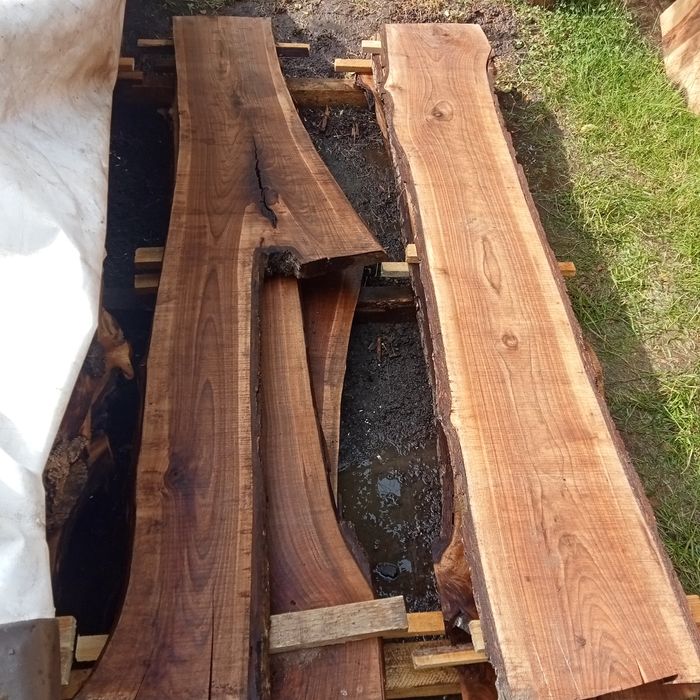 Blaturi nuc și cires