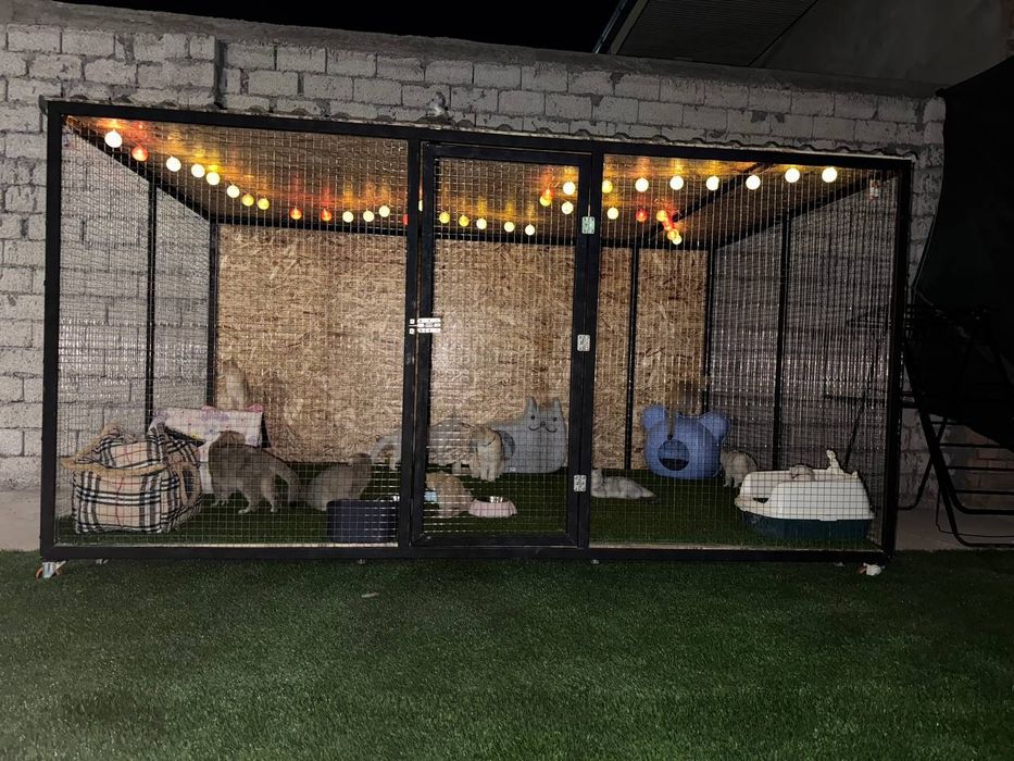 Вальер клетка для животных