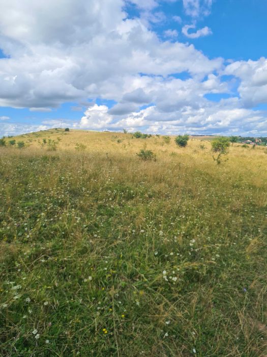 Teren extravilan  2500m2.  Panorama superba.-Salicea