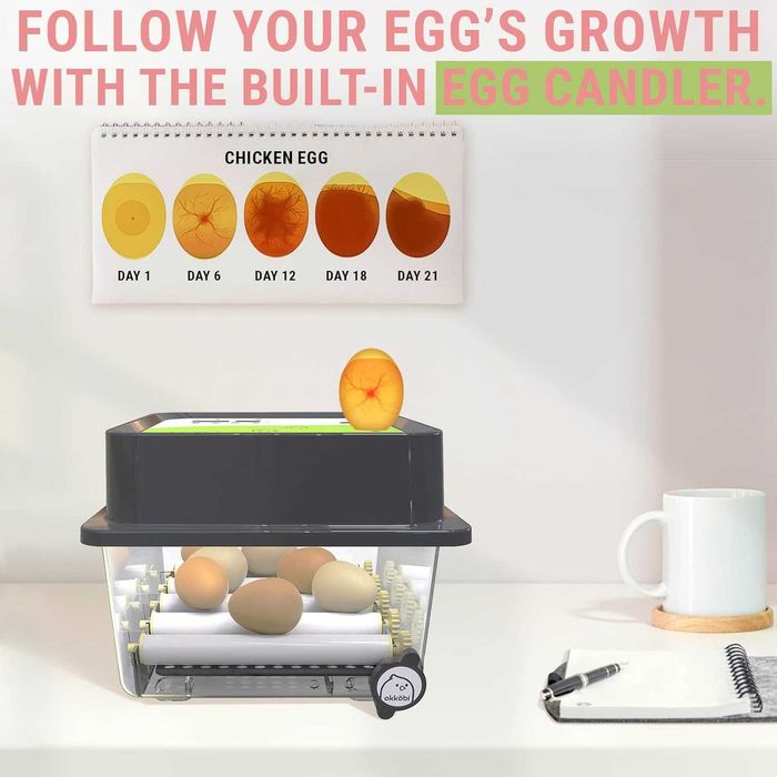 Чисто нов инкубатор за 12 яйца OKKÖBI с автоматично обръщане на яйцата