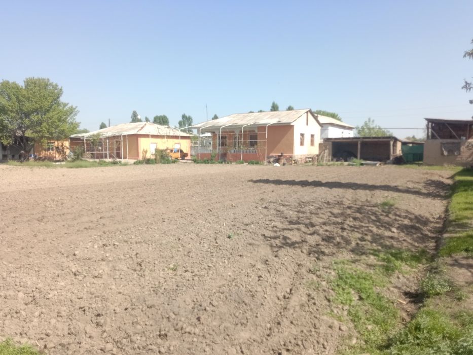 Срочна Уй сотилади 24 сотих