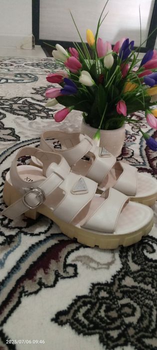 37 razmer basanoshka