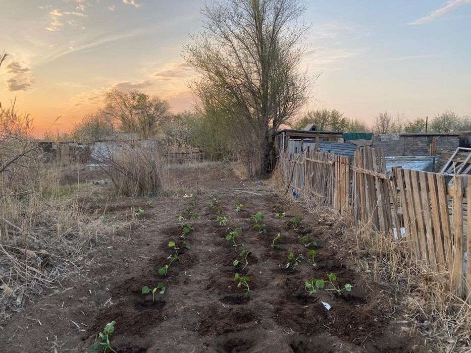 Дача продам на Востоке,