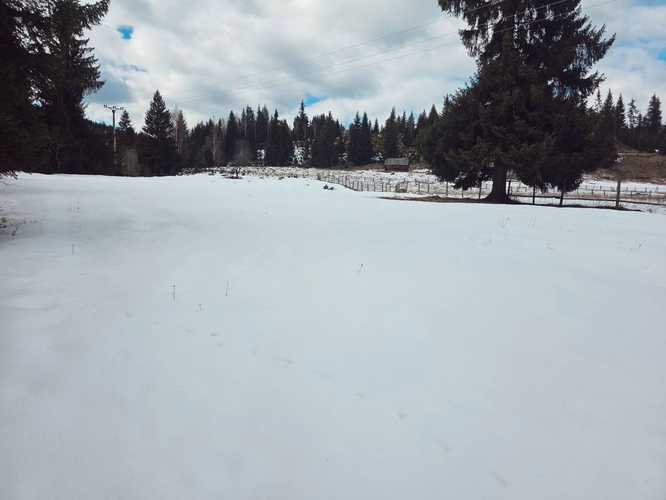 Teren intravilan 1,5 ha (15.000 mp) langa Parcul Calimani. 8,5€/mp