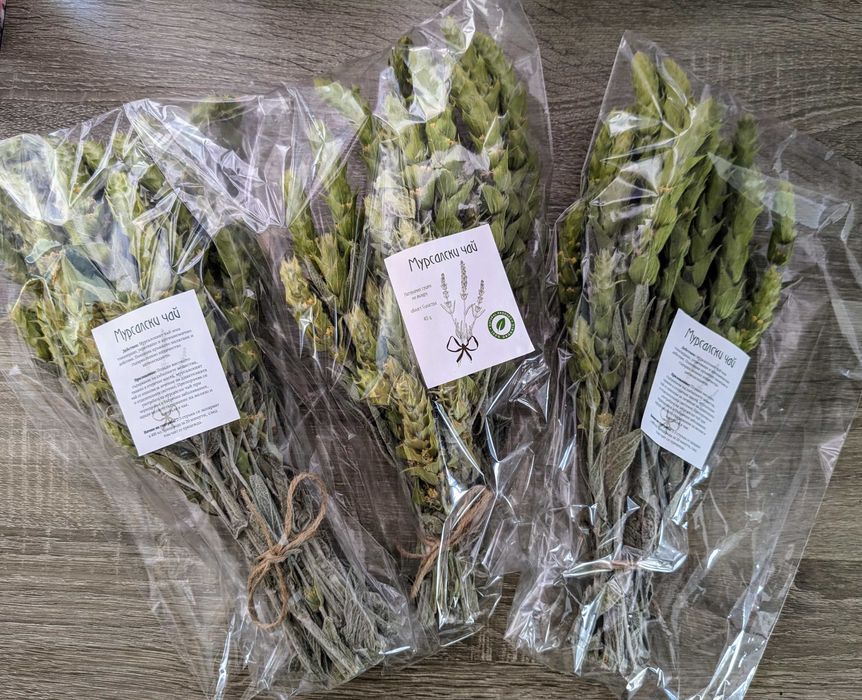 Мурсалски чай. Sideritis scardica