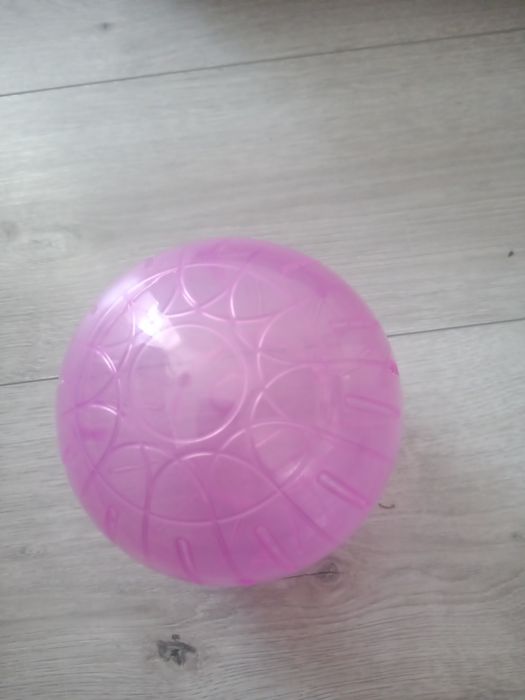 Roata pentru hamsteri!
