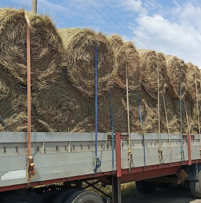 Шөп! Сено разнотравье