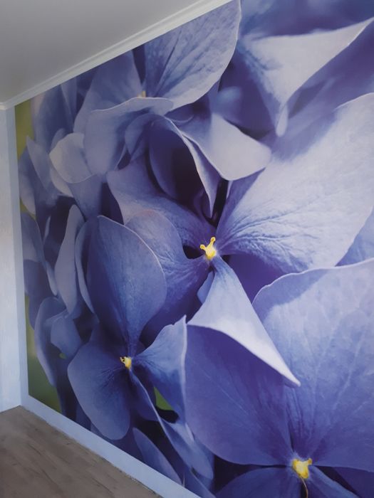 Поклейка обоев и галтели.