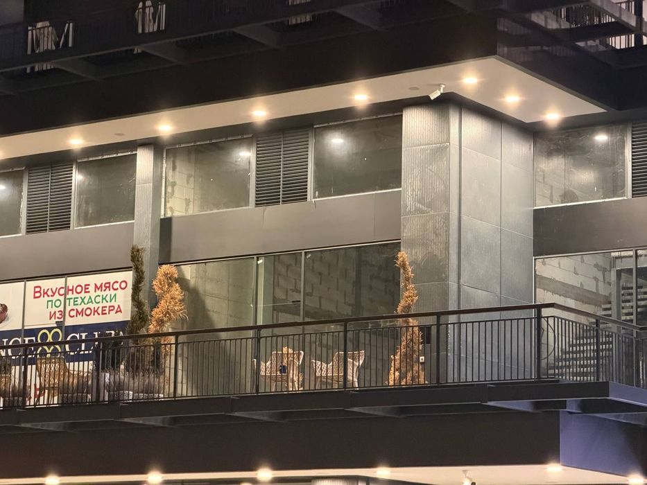 Комерческое помешения на Seul Moon