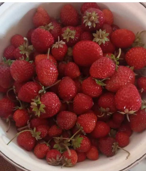 Продам домашнюю клубнику, вишню