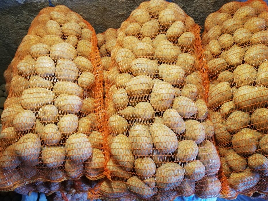 Cartofi de consum și de sămânță