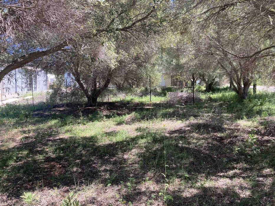 Парцел под наем в Халкидики