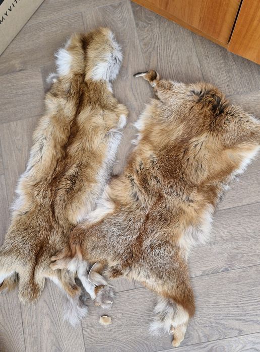 Предлагам 2 кожи от Лисица