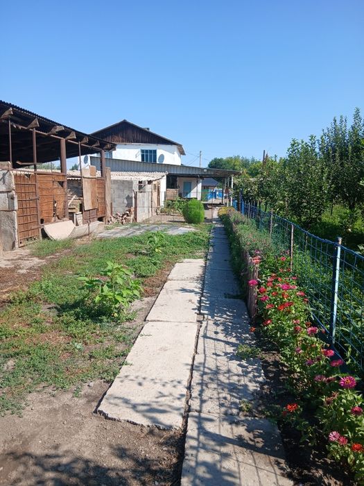 Дом частный экологический чистый