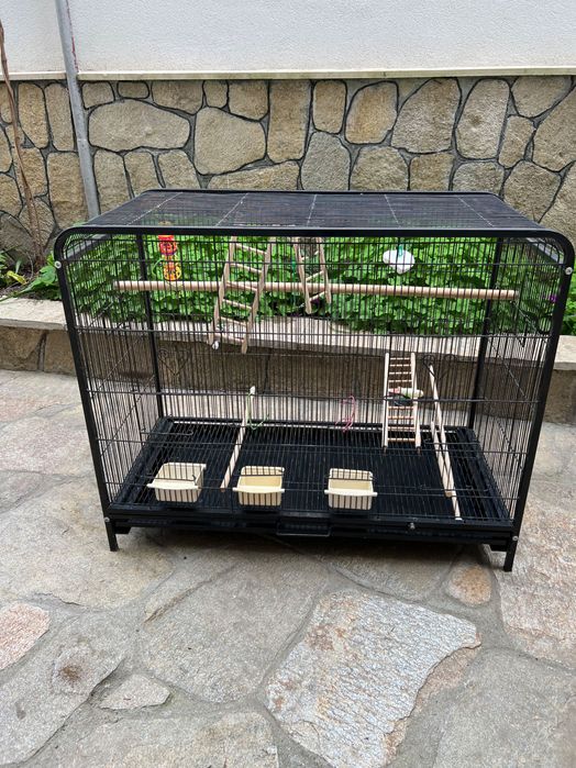 Голяма клетка папагали