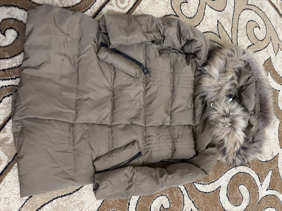 Пиддактар мен кәжікилер. 1000 тгден