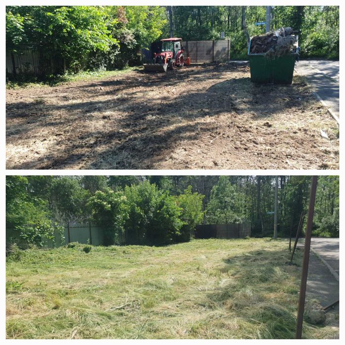 Curatare ambrozie - cosire teren, defrisare, tocare arbusti macesi