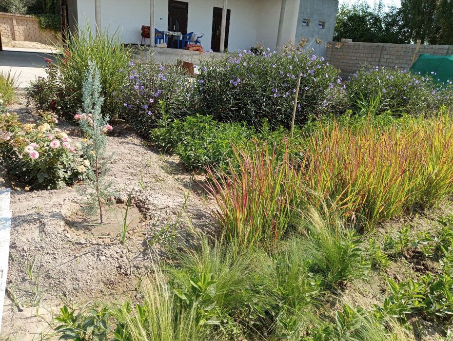 Tabiy gullar sotiladi