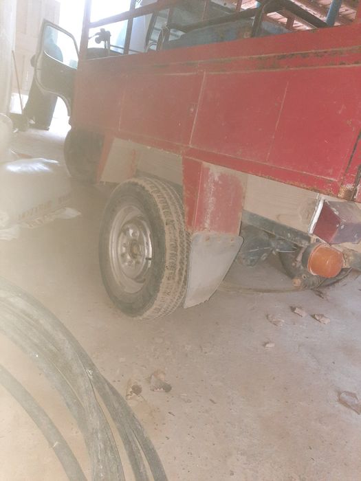 Муравей  чутки 05