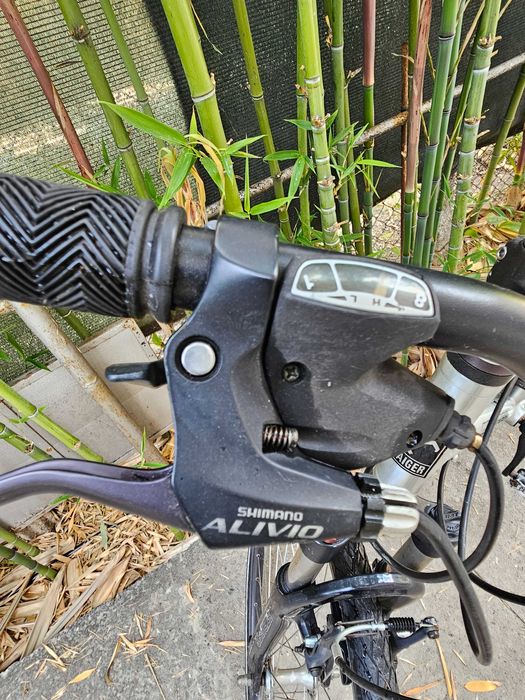 Staiger Indian 52см