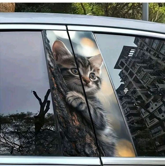 Водоустойчиви винилови стикери за кола-2 броя.