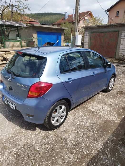 Грейт лолл волекс  С10