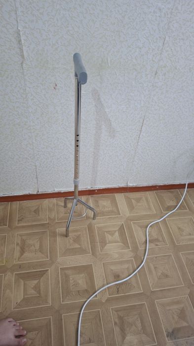 Трость.      паук