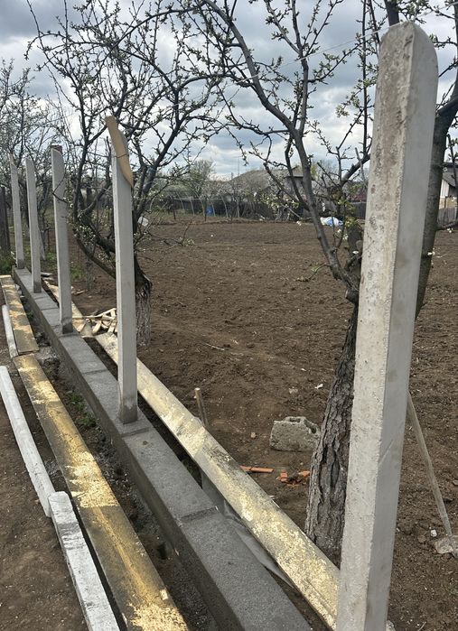 Spalieri de beton - gard