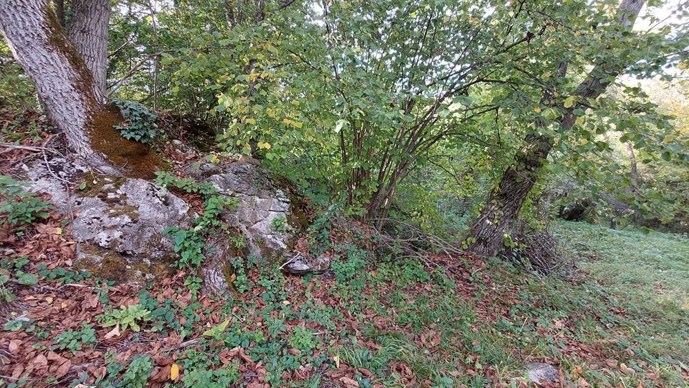 Продава се Къща в с. Мечковица, Област Габрово - 33 кв.м за 495 €/кв.м - Снимка #1