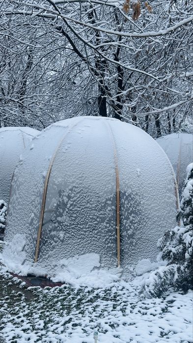 Tayyor kapsulalar sotiladi.