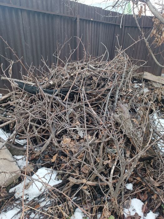 Отдам даром дрова