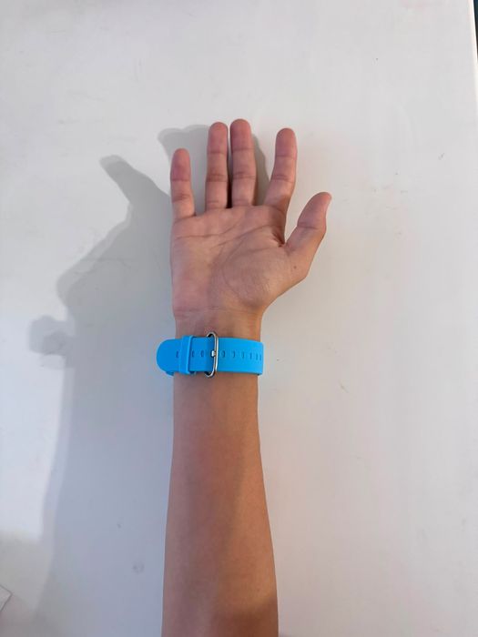 sirius gps watch s2