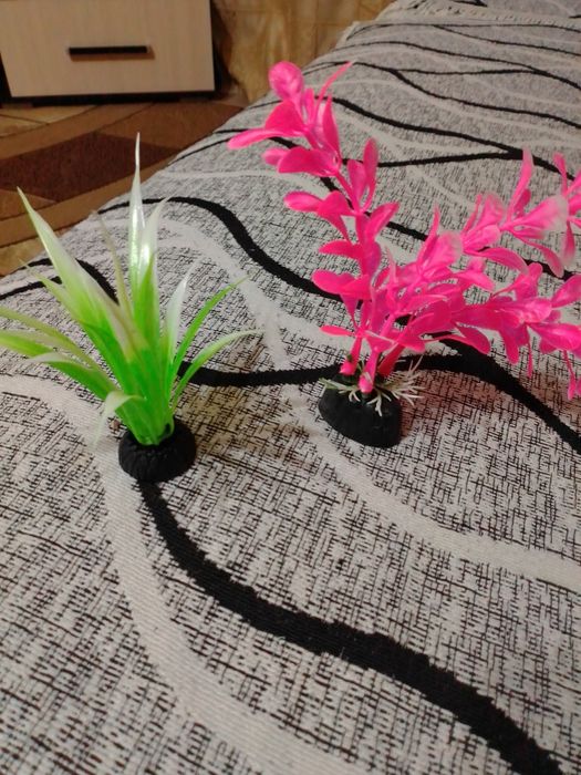 Продам коряги для аквариума.