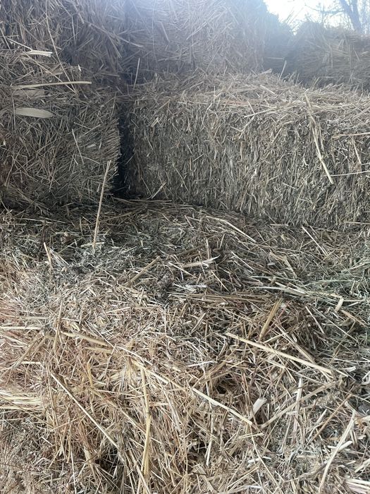 Продам сено клевер с разнотравьем