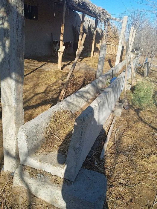 Мол бокадиганлар учун бетон охир(наво)лар сотилади