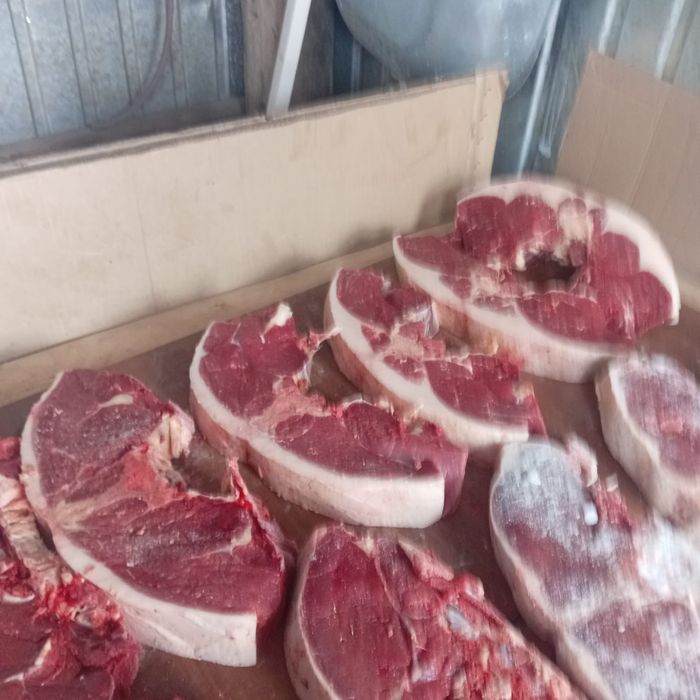 Продам мясо конина