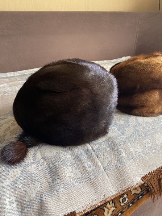 Норковые шапки Норка бас киімдер