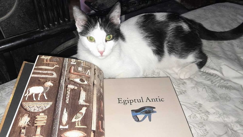 RARA,SIMBOLURI SACRE,popoare,religii,mistere,ROBERT ADKINSON,792 pag,c