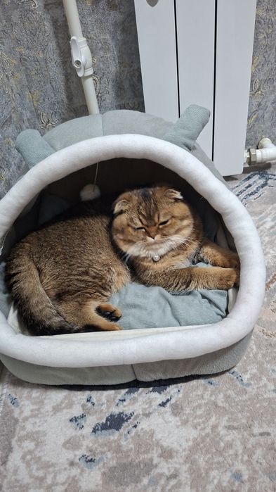 Vyazka qizlani uchrashuvga taklif qilamiza