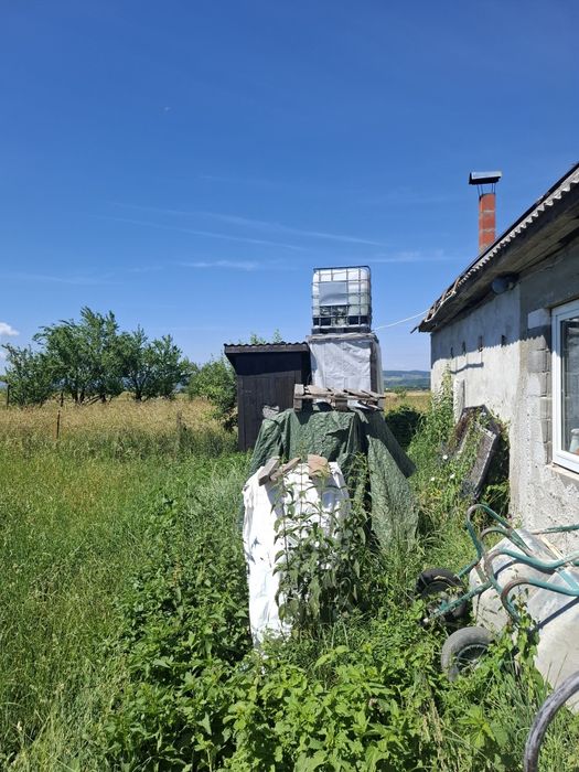 Butoi 1000 litri