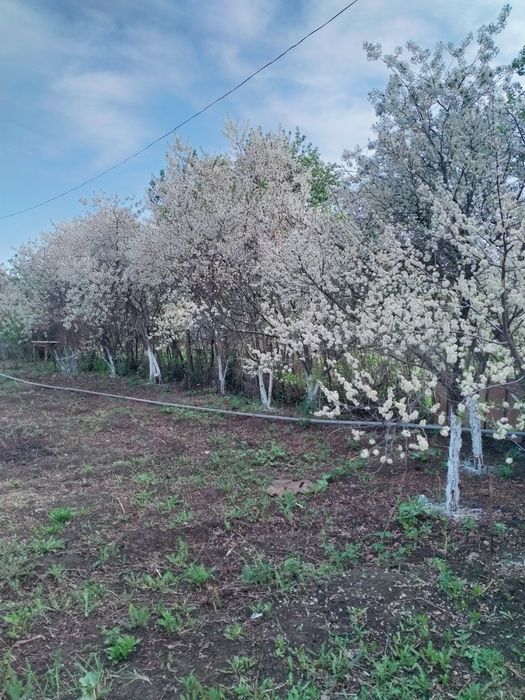 Продам дачу в черте города