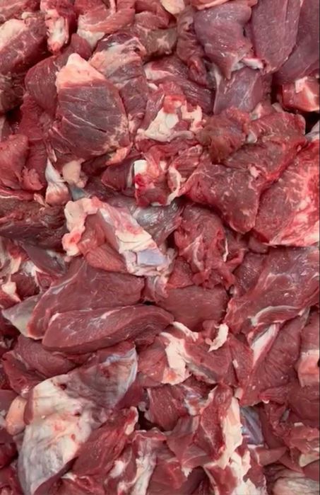 мясо халал, блочная говядина