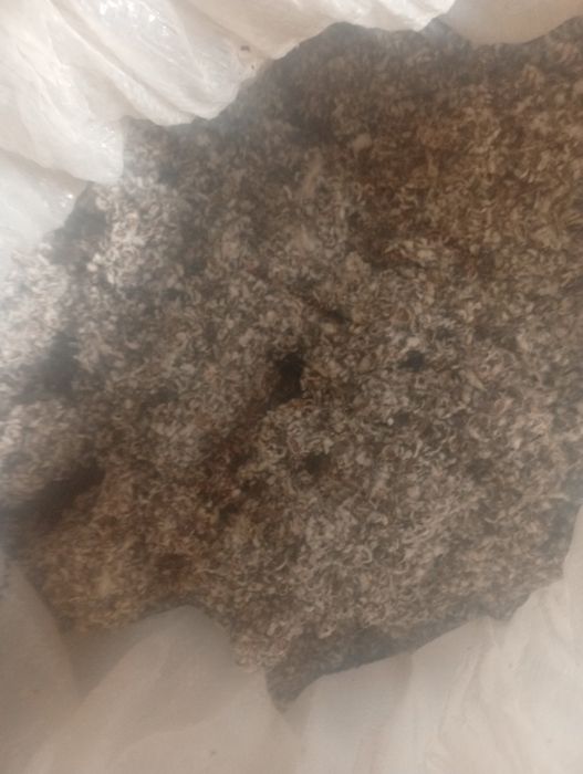 Molingiz uchun yem shorha kerakmi semirtiradigan ishonchli yem